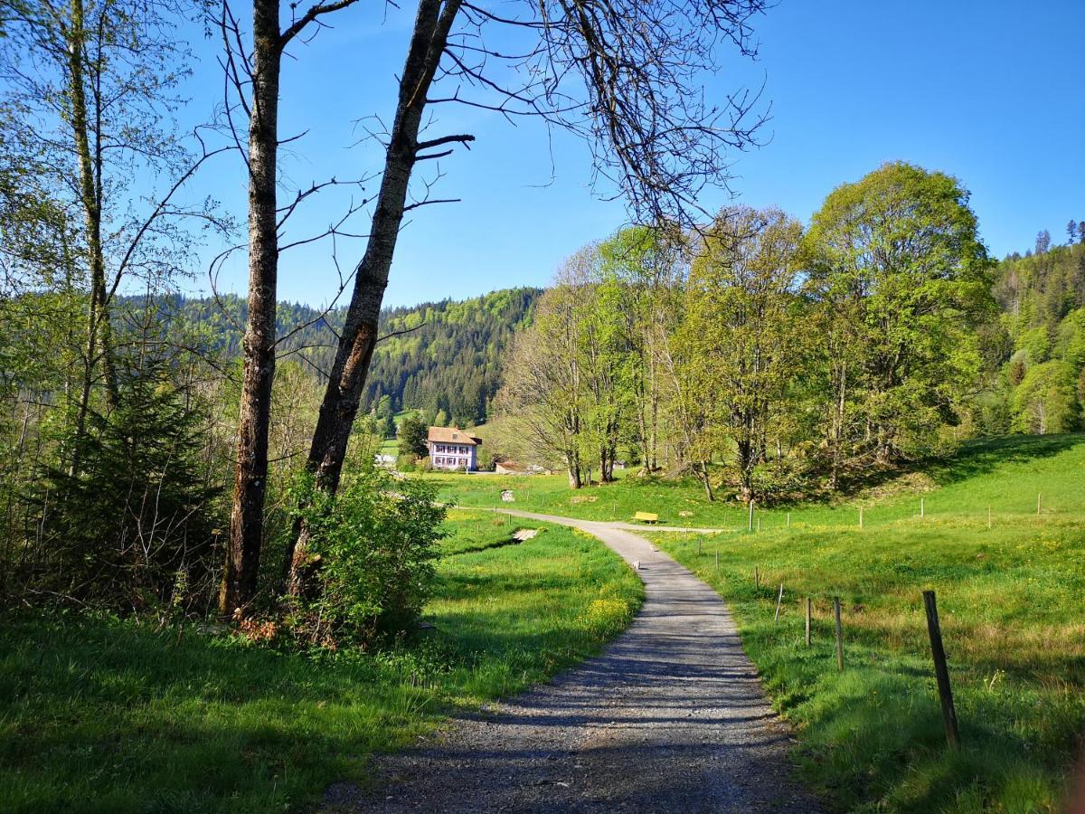 Apartament B4 Albmatte Menzenschwand-Hinterdorf Zewnętrze zdjęcie