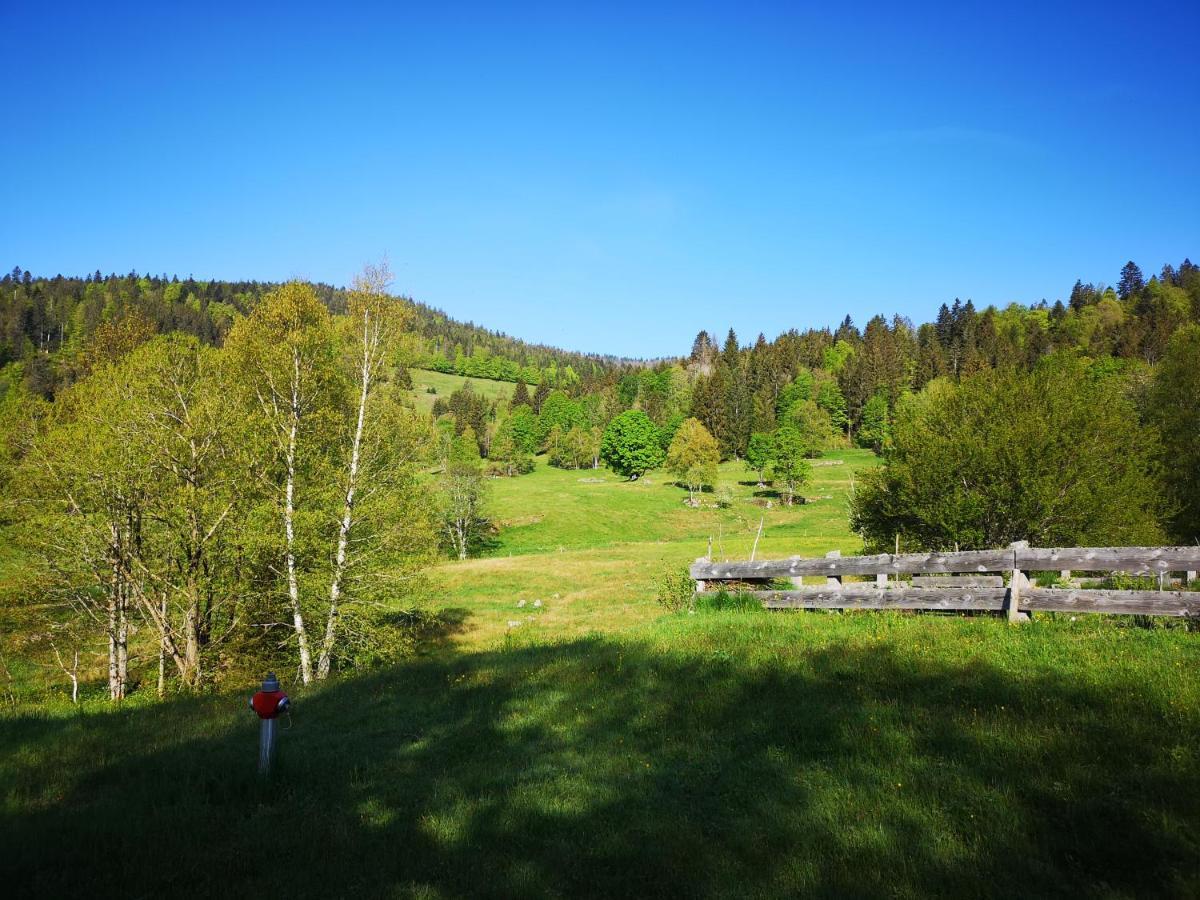 Apartament B4 Albmatte Menzenschwand-Hinterdorf Zewnętrze zdjęcie