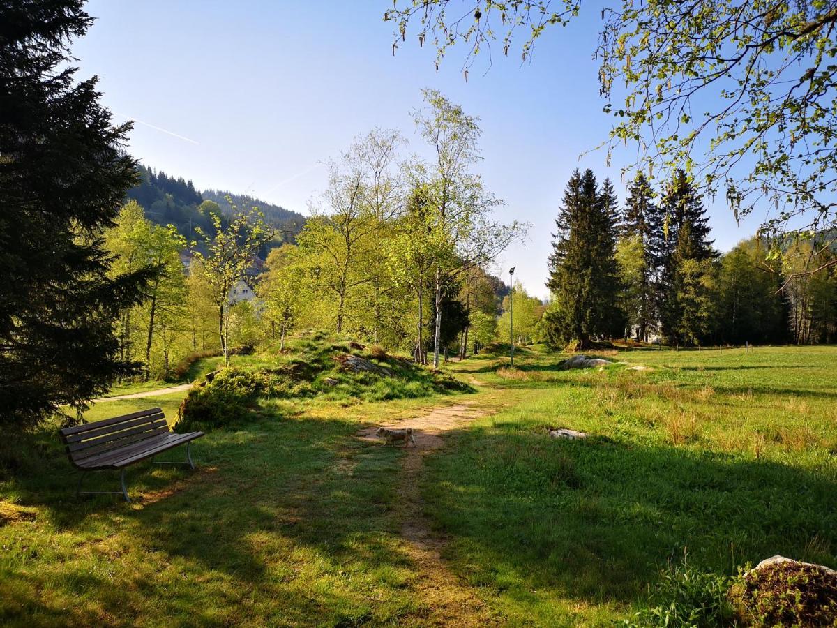 Apartament B4 Albmatte Menzenschwand-Hinterdorf Zewnętrze zdjęcie