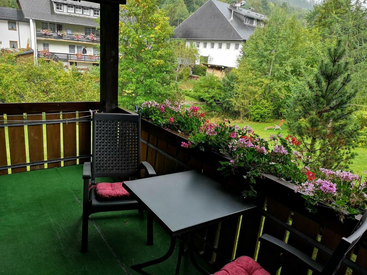 Apartament B4 Albmatte Menzenschwand-Hinterdorf Zewnętrze zdjęcie