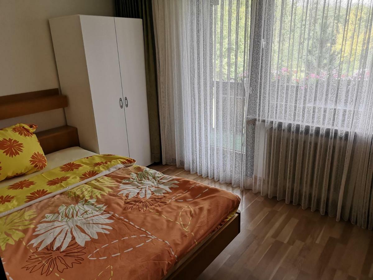 Apartament B4 Albmatte Menzenschwand-Hinterdorf Zewnętrze zdjęcie