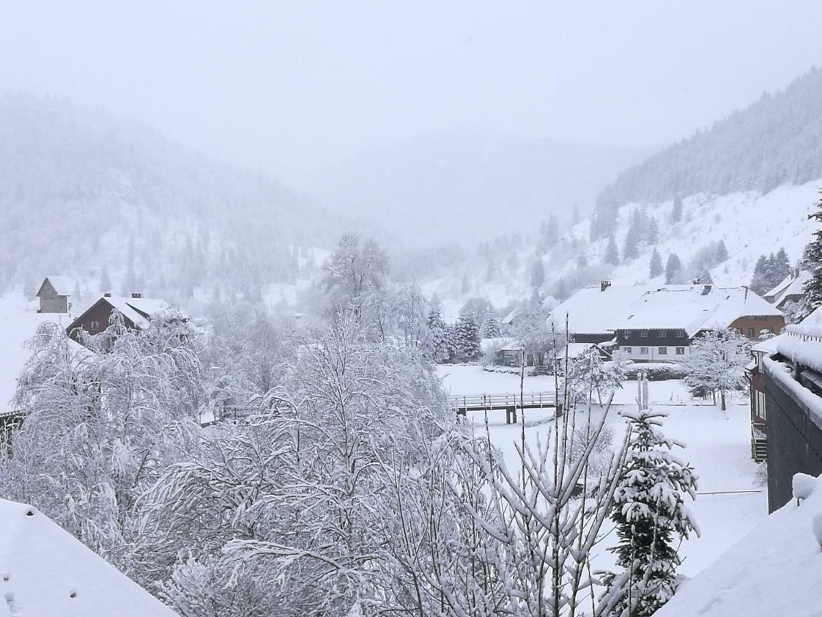 Apartament B4 Albmatte Menzenschwand-Hinterdorf Zewnętrze zdjęcie