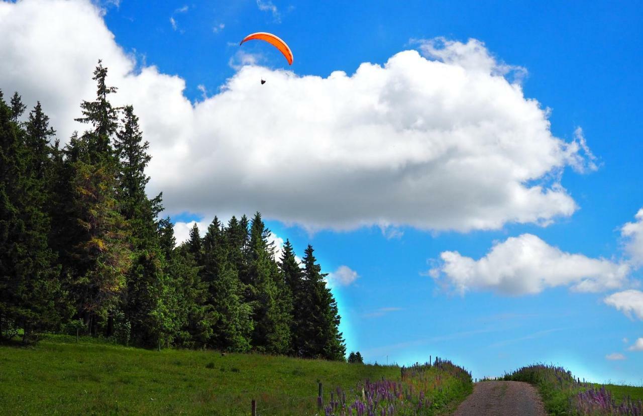 Apartament B4 Albmatte Menzenschwand-Hinterdorf Zewnętrze zdjęcie