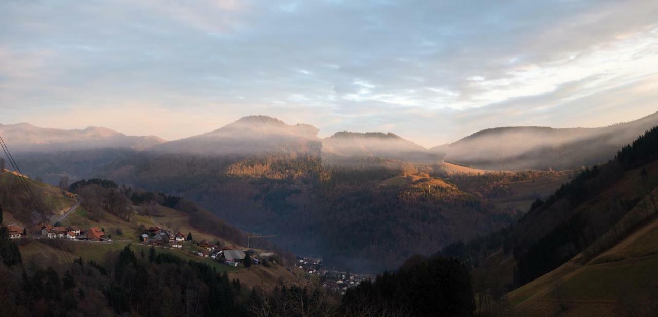 Apartament B4 Albmatte Menzenschwand-Hinterdorf Zewnętrze zdjęcie