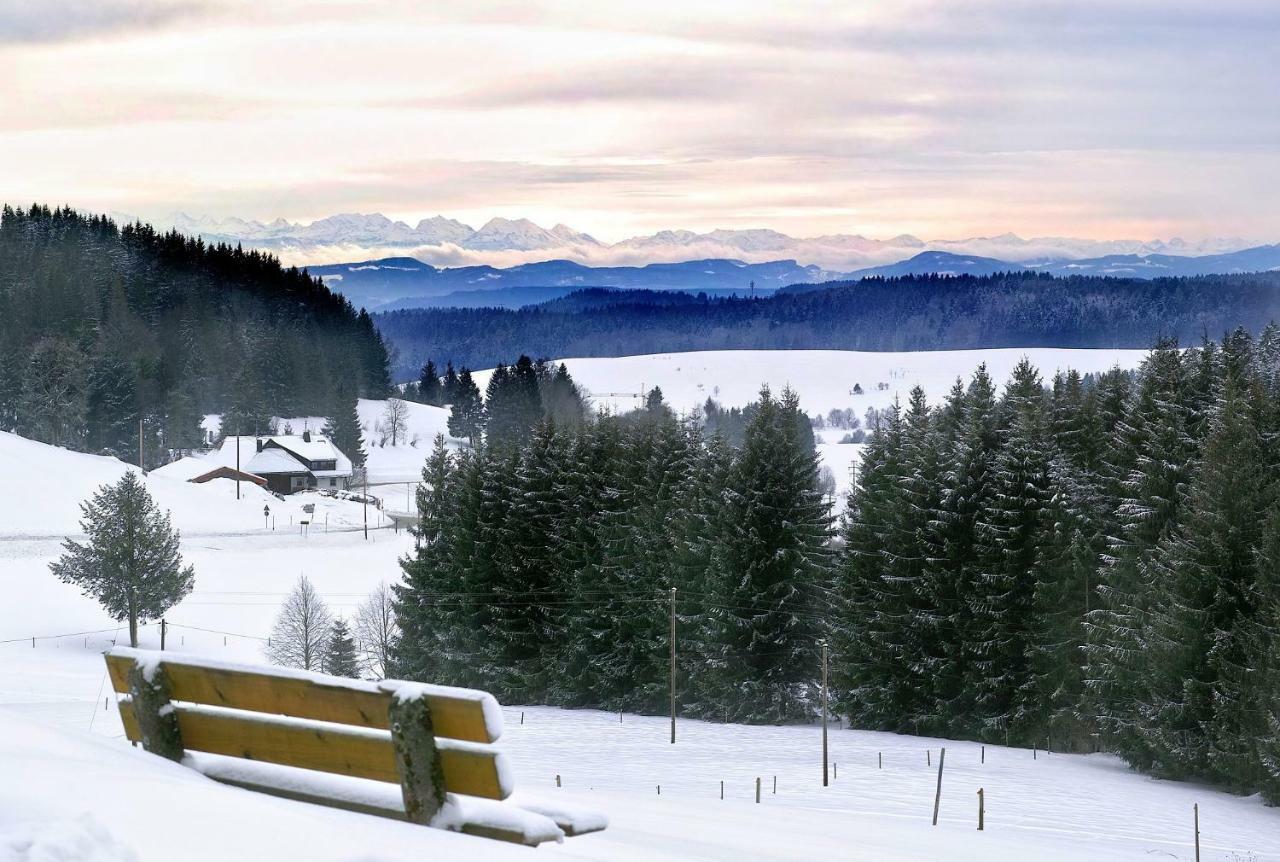 Apartament B4 Albmatte Menzenschwand-Hinterdorf Zewnętrze zdjęcie