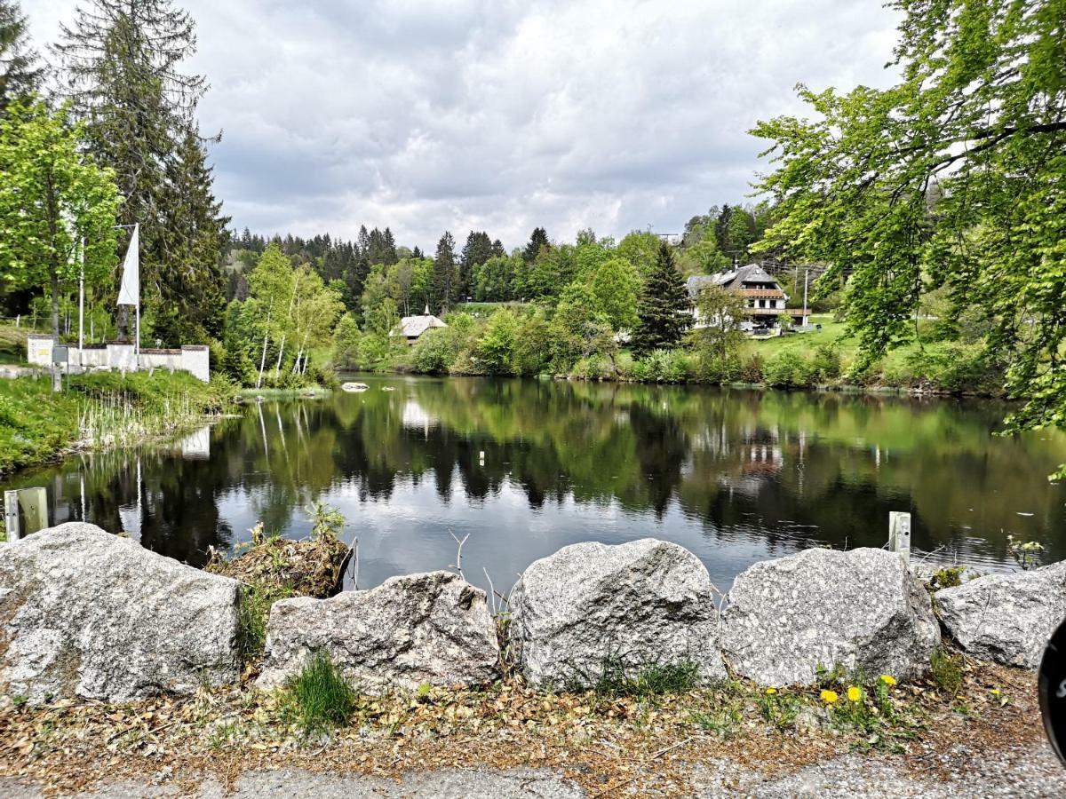 Apartament B4 Albmatte Menzenschwand-Hinterdorf Zewnętrze zdjęcie