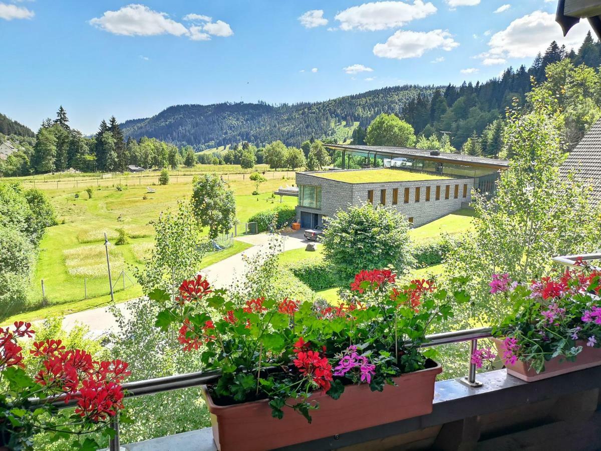 Apartament B4 Albmatte Menzenschwand-Hinterdorf Zewnętrze zdjęcie