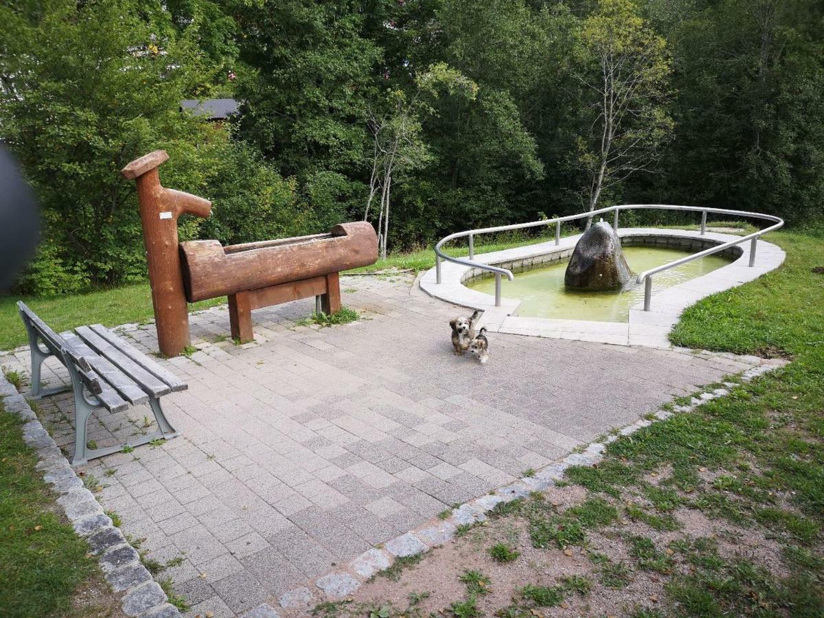 Apartament B4 Albmatte Menzenschwand-Hinterdorf Zewnętrze zdjęcie