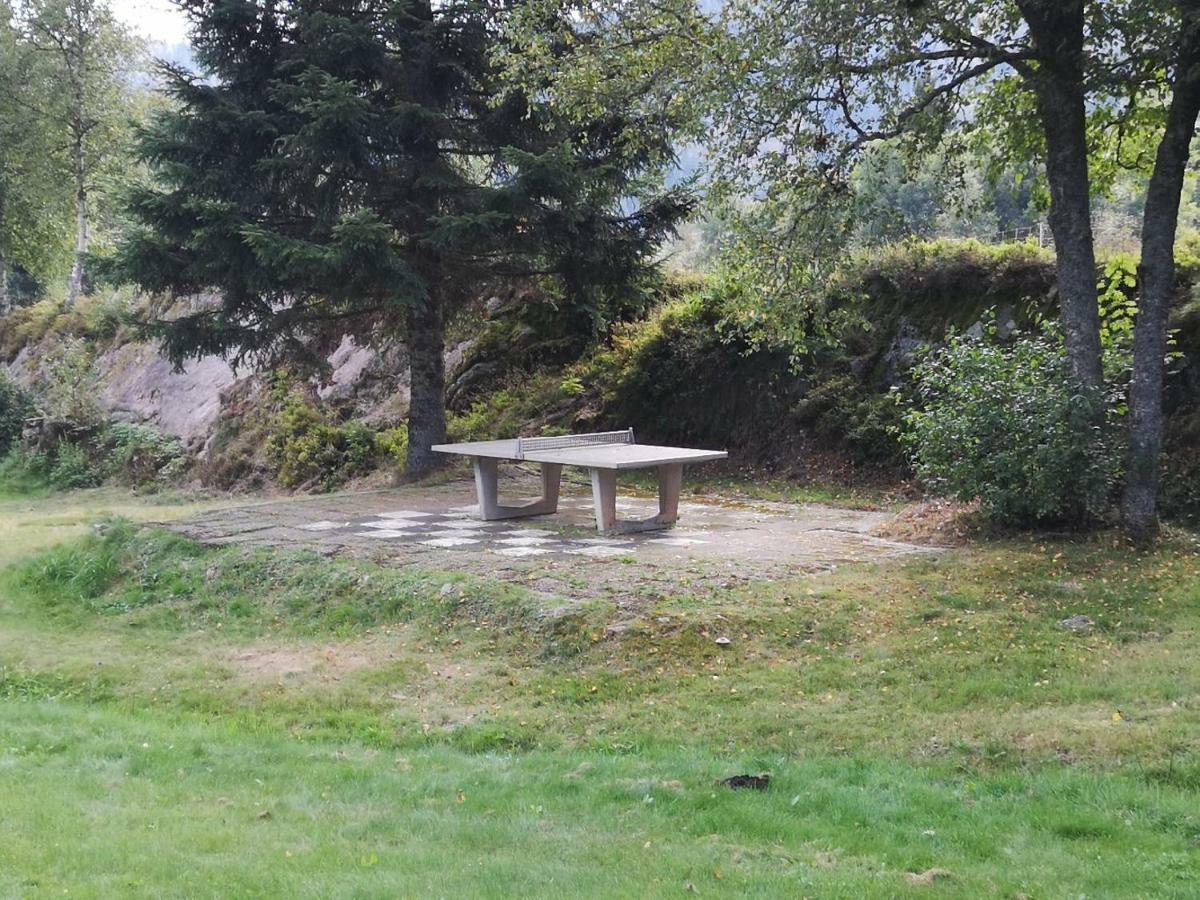 Apartament B4 Albmatte Menzenschwand-Hinterdorf Zewnętrze zdjęcie