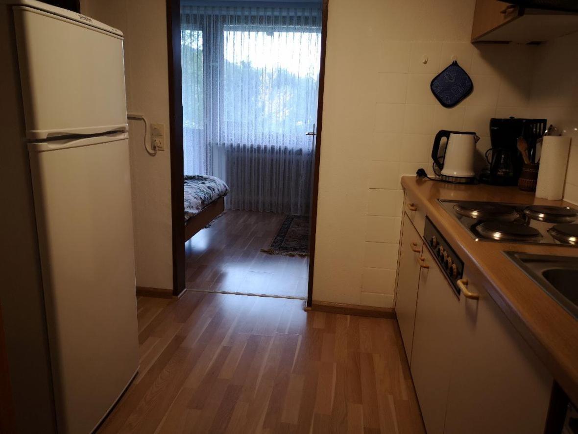 Apartament B4 Albmatte Menzenschwand-Hinterdorf Zewnętrze zdjęcie