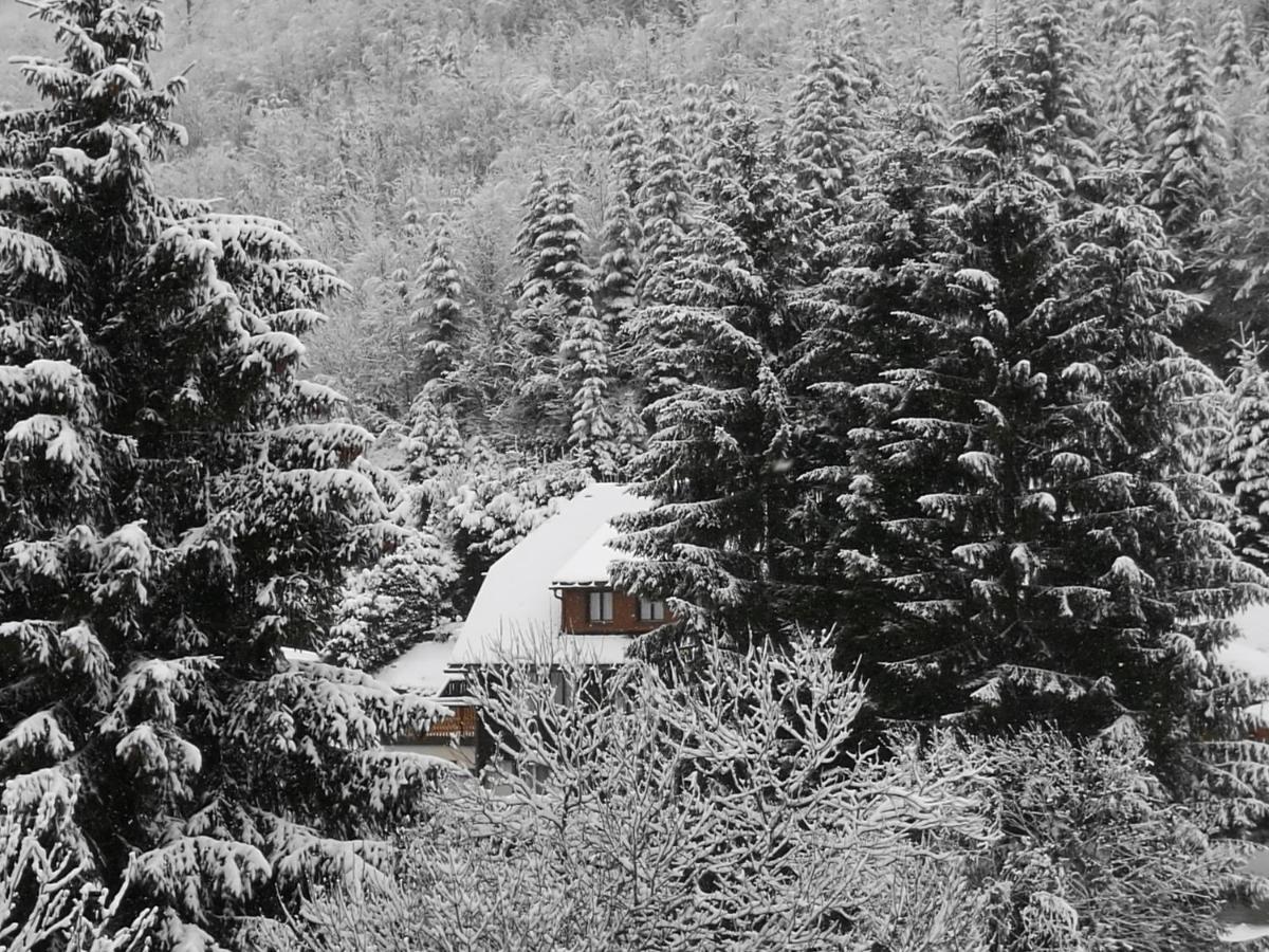 Apartament B4 Albmatte Menzenschwand-Hinterdorf Zewnętrze zdjęcie